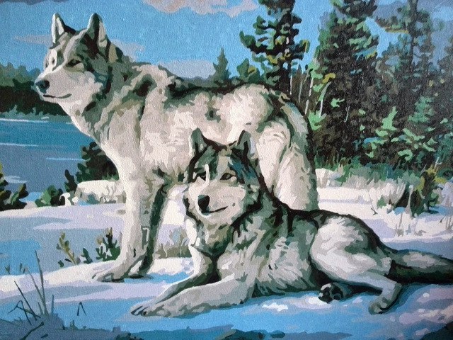 Painting Wolves in Winter